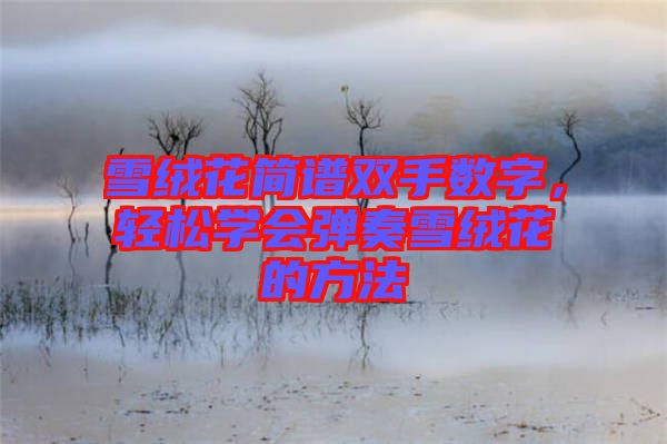 雪絨花簡(jiǎn)譜雙手?jǐn)?shù)字，輕松學(xué)會(huì)彈奏雪絨花的方法