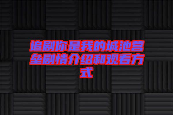 追劇你是我的城池營壘劇情介紹和觀看方式