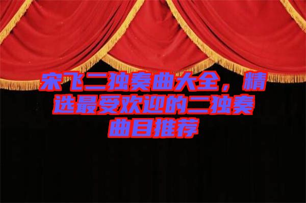 宋飛二獨(dú)奏曲大全，精選最受歡迎的二獨(dú)奏曲目推薦