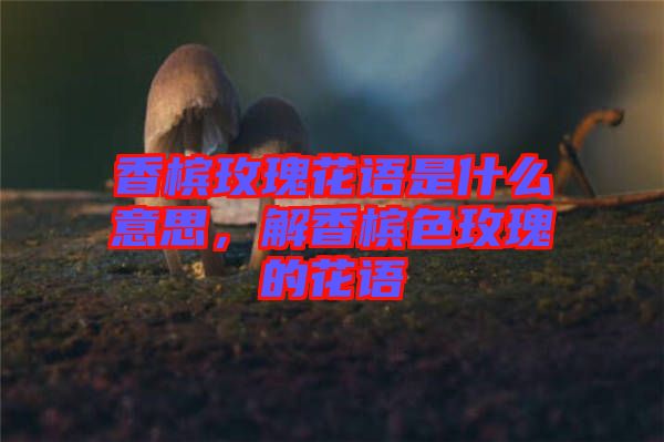 香檳玫瑰花語(yǔ)是什么意思，解香檳色玫瑰的花語(yǔ)