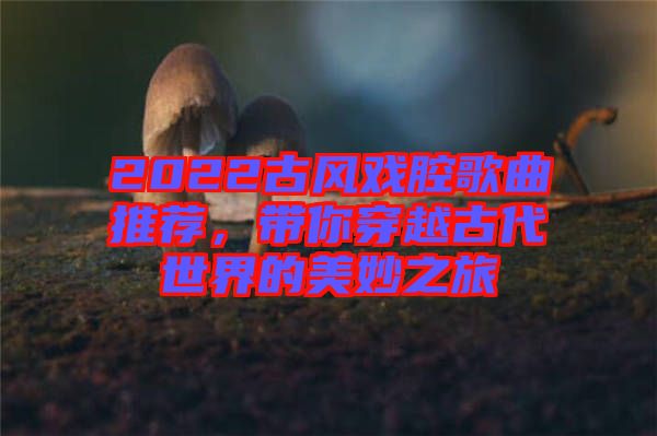 2022古風(fēng)戲腔歌曲推薦，帶你穿越古代世界的美妙之旅