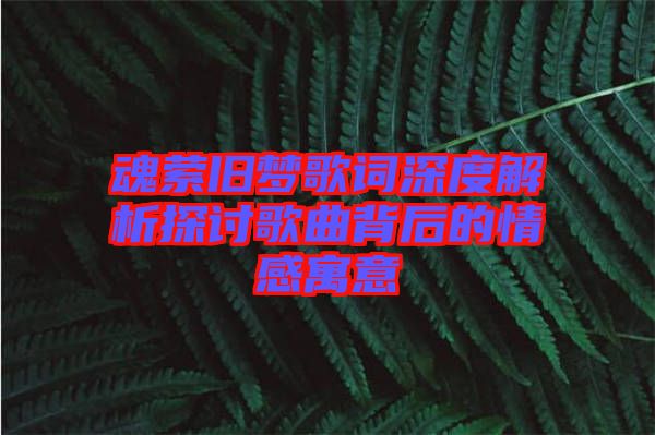 魂縈舊夢(mèng)歌詞深度解析探討歌曲背后的情感寓意