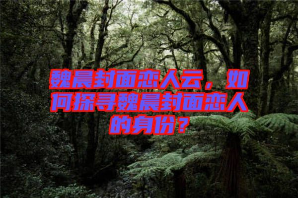 魏晨封面戀人云，如何探尋魏晨封面戀人的身份？