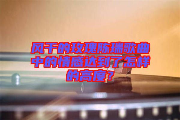 風干的玫瑰陳瑞歌曲中的情感達到了怎樣的高度？