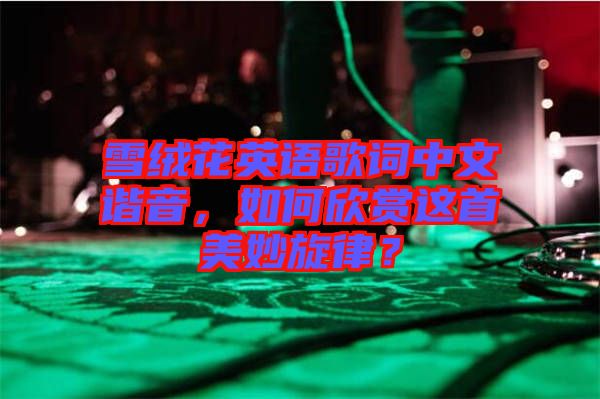 雪絨花英語歌詞中文諧音，如何欣賞這首美妙旋律？