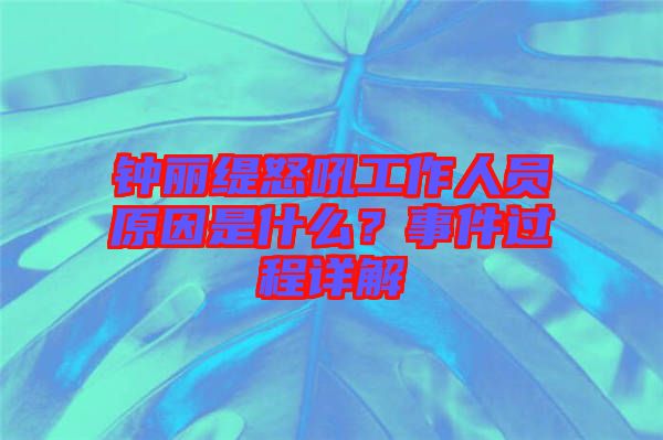 鐘麗緹怒吼工作人員原因是什么？事件過程詳解