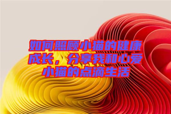 如何照顧小貓的健康成長，分享我和心愛小貓的點滴生活