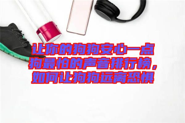 讓你的狗狗安心一點狗最怕的聲音排行榜，如何讓狗狗遠(yuǎn)離恐懼