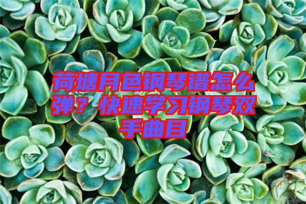 荷塘月色鋼琴譜怎么彈？快速學習鋼琴雙手曲目