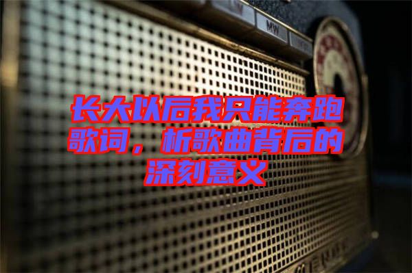 長大以后我只能奔跑歌詞，析歌曲背后的深刻意義