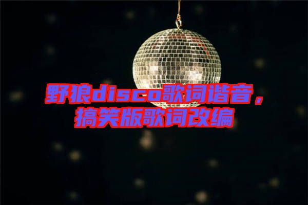 野狼disco歌詞諧音，搞笑版歌詞改編