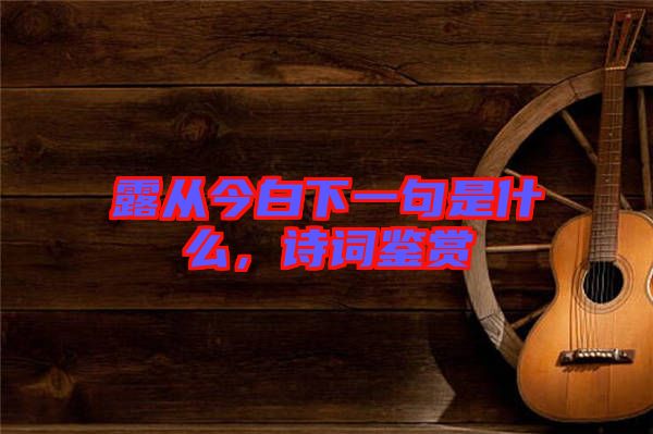 露從今白下一句是什么，詩(shī)詞鑒賞